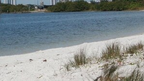 A beach with white sand and calm water. In the background, there are high-rise buildings and some greenery. - Davis Islands Urban Fiesta 2 Bedroom (Tampa)