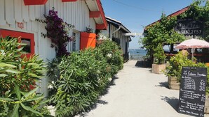 Διάφορα