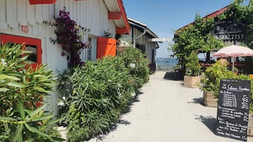 Sekalaista