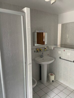 Shower, hair dryer, bidet, towels