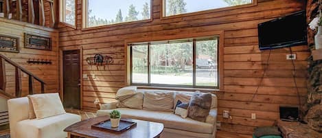 Smart TV, fireplace, DVD player, books