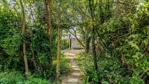 A narrow stone pathway leading through a lush garden with dense foliage and a wooden pergola structure. - Beachside, West Yardley House - UK31200 (Downderry and Seaton, near Looe)