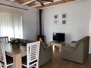 TV, fireplace, books