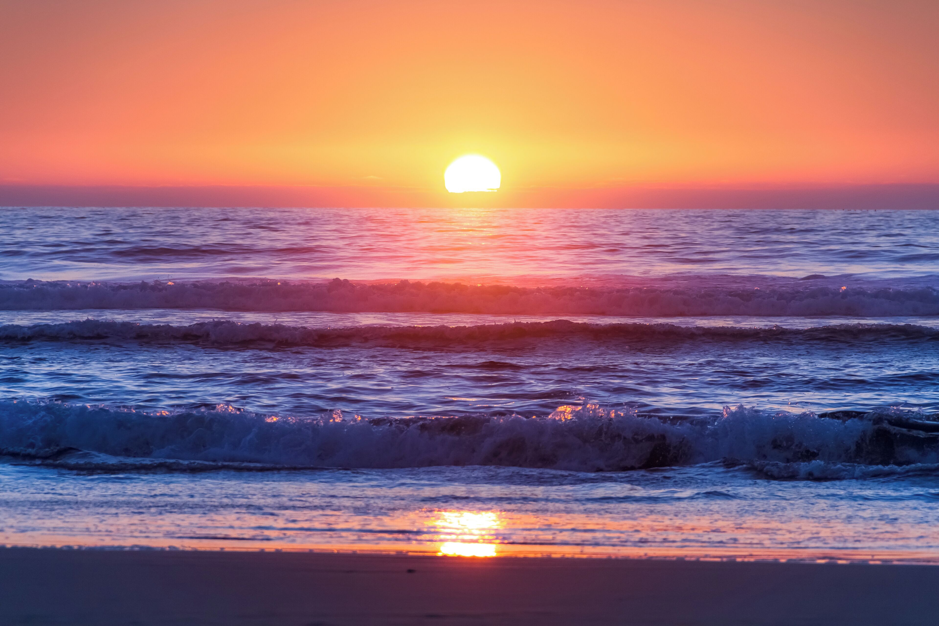 Beautiful Del Mar Beach Studio 2 blocks to  Sandy Beach   
