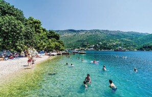 A beach with clear water, people swimming and sunbathing, and a forested hill in the background.