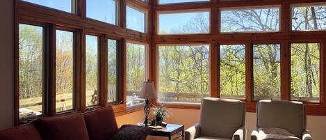 Smart TV, fireplace, books, stereo