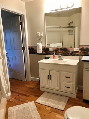 Ensemble douche/baignoire, sèche-cheveux, serviettes fournies, savon