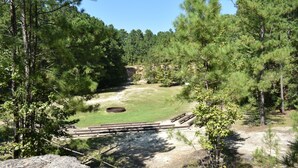 A campground with picnic tables, a fire pit, and a clear view of a forested area. - YMCA Camp Cullen (Trinity)