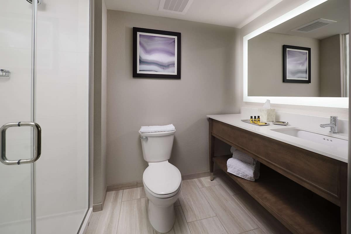 combined shower/bathtub, free toiletries, hair dryer, towels