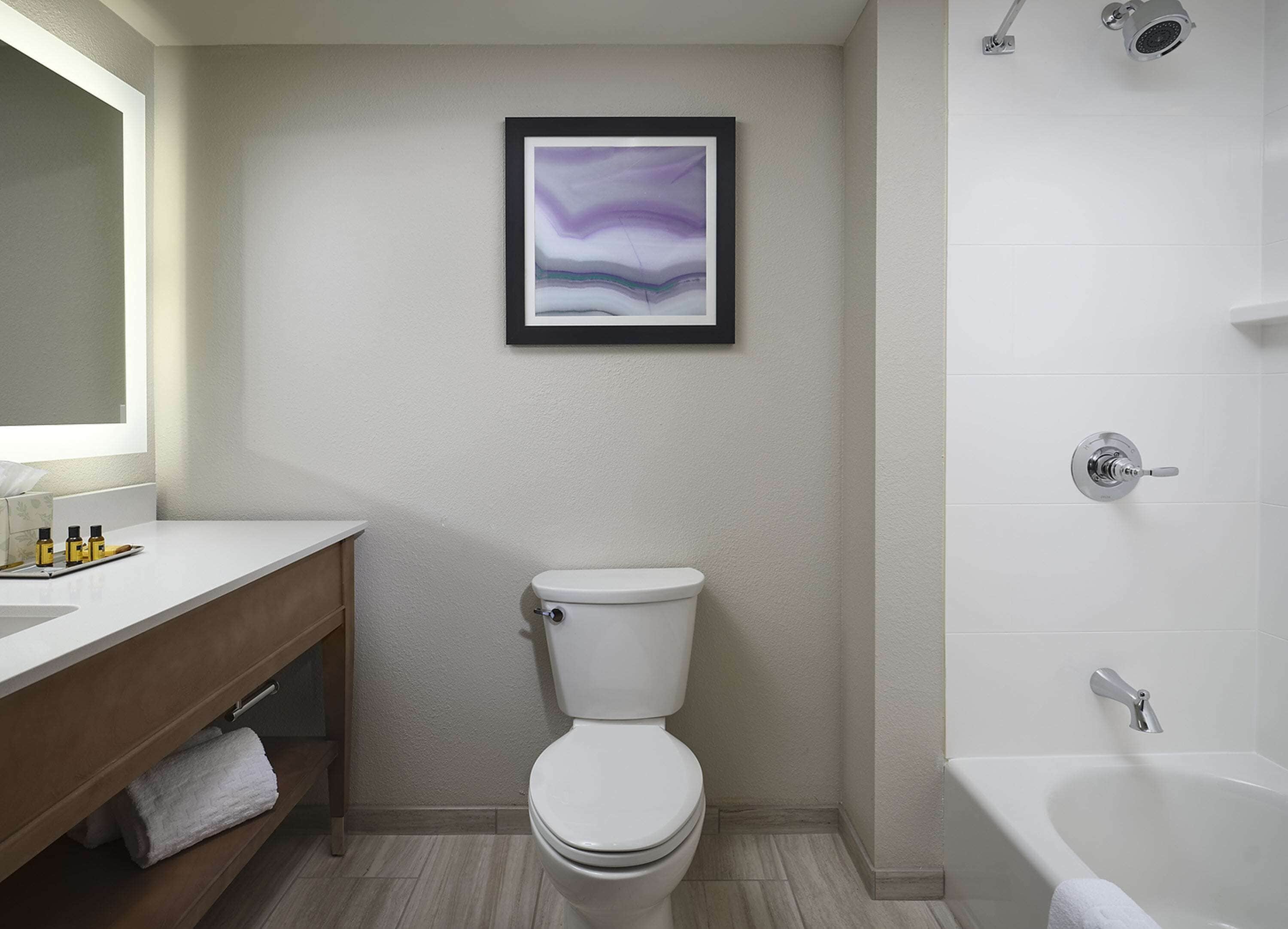 combined shower/bathtub, free toiletries, hair dryer, towels