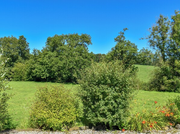 A grassy field with dense trees and shrubs in the background.