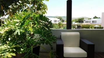 Suite presidencial | Terraza o patio