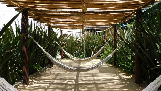 A hammock under a bamboo structure surrounded by lush greenery. - Hotel & Spa Luna Canela Boutique (Atlixco)