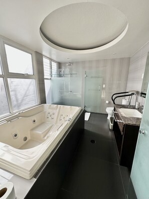 Secadora de cabello, toallas, papel de baño