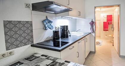 Einzimmerapartment im "Haus Ruther" in Thermalbadnähe mit WLAN, Terrasse & Garten