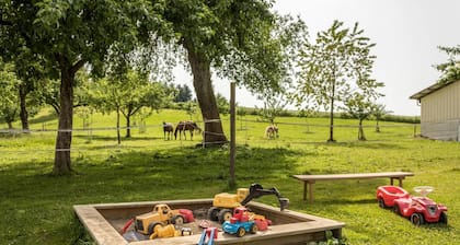 Ferienwohnung 2 auf dem Bauernhof "Wagenberg" mit Bergblick, WLAN, Balkon & Garten
