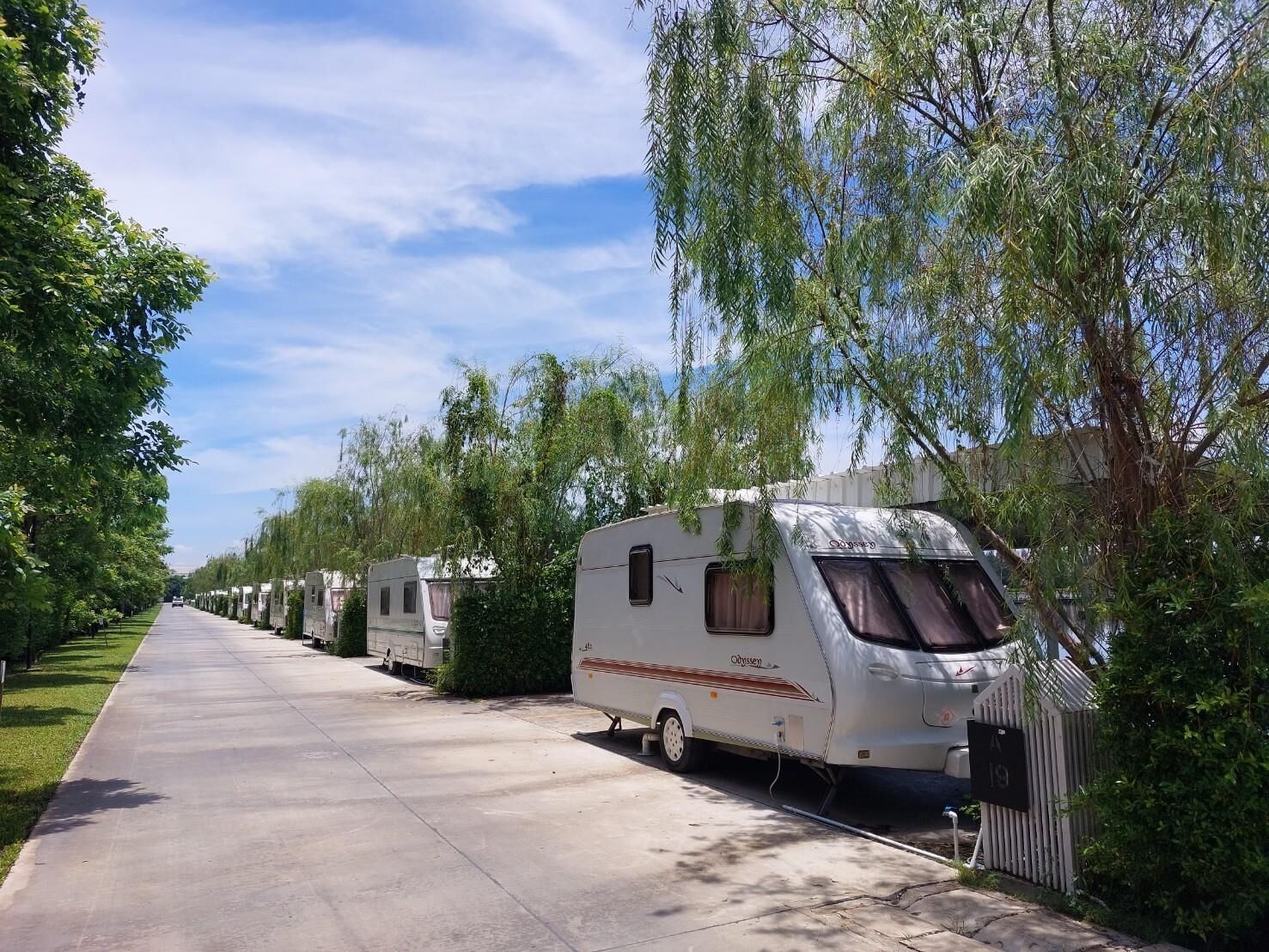 Una fila di camper parcheggiati lungo una strada asfaltata fiancheggiata da alberi.