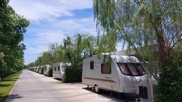Una fila di camper parcheggiati lungo una strada asfaltata fiancheggiata da alberi.