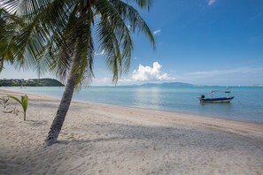 A beach with a palm tree and a boat on the water. - Villa Divina (Koh Samui)