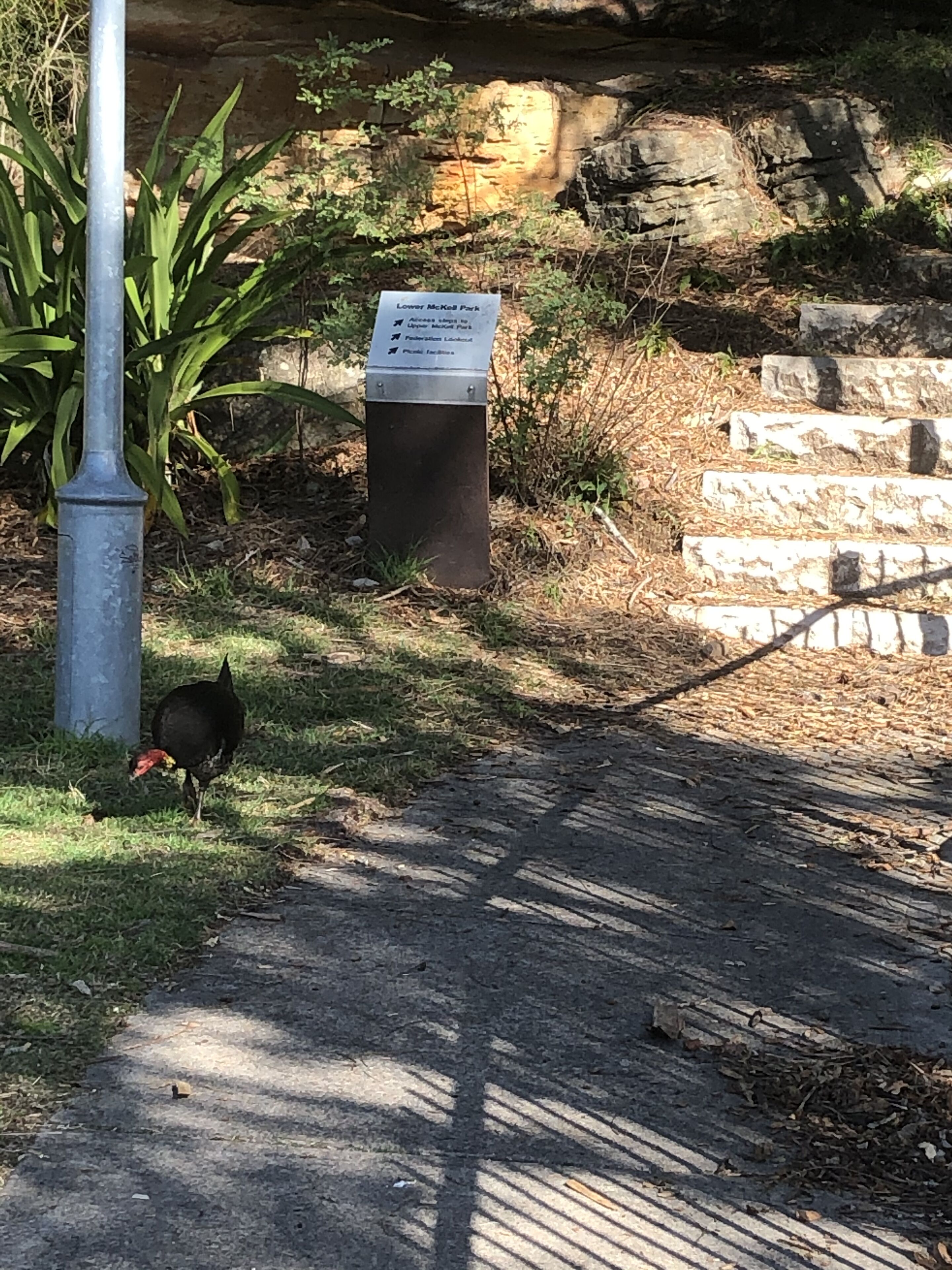 Oasis on the Hawkesbury -  Water Views — image 23