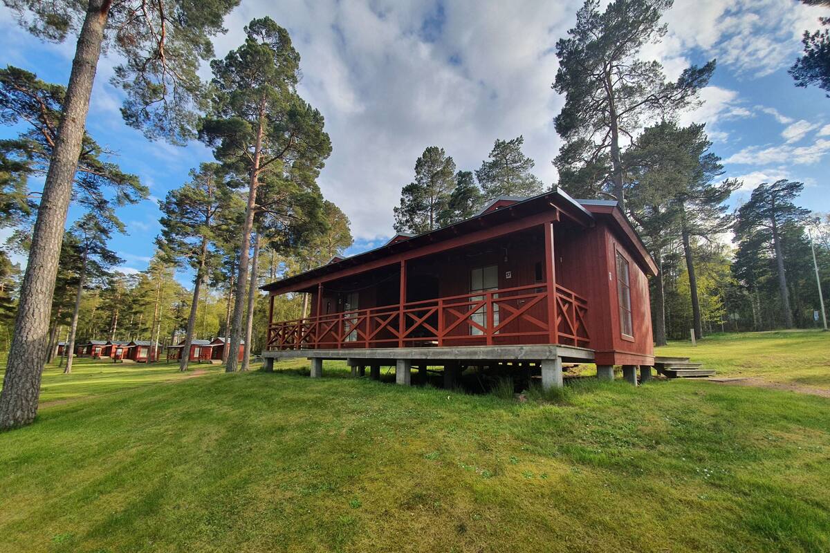 Kabin (6-bäddar) | Teras/patio