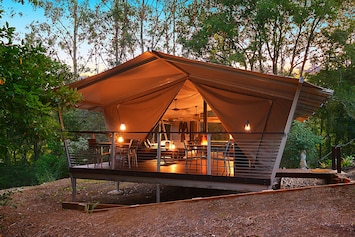 safari tent