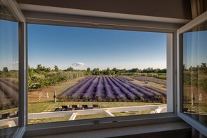 Interior - Brajdine Lounge overlooking an enchanting lavender field (Juršici)