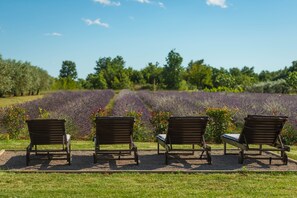 Property grounds - Brajdine Lounge overlooking an enchanting lavender field (Juršići)