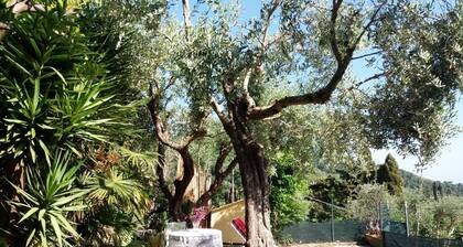 7km sea-Hilly-Strategic location-Surrounded by Nature Parks of Sea Alps Lake.