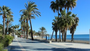 A paved walkway lined with palm trees and a beach in the background. - First floor Beach side property, San Pedro (Marbella)