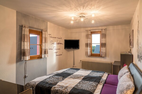 Une chambre à coucher avec un lit, une télévision, un radiateur et une fenêtre avec des rideaux.