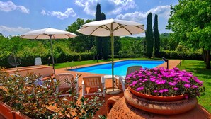 A swimming pool with two white umbrellas, surrounded by greenery and potted plants. - Villa with Pool - 4 rooms with independent bathroom (Rignano sull'Arno)