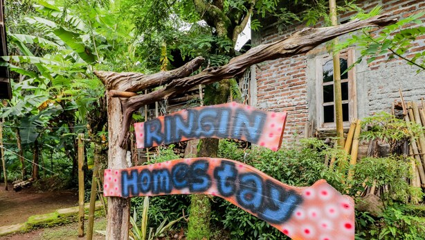 Un letrero de madera rústica con grafiti que dice 'RINGIN Homestay'.