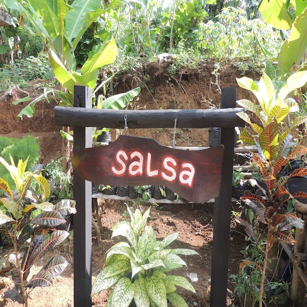 Exterior - Penginapan Salsa (Kalirejo)
