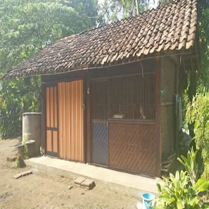 Exterior detail - Penginapan Salsa (Kalirejo)