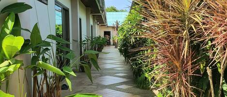 A narrow pathway flanked by lush greenery and a building with a sign reading "BUCHSITTA HOUSE."