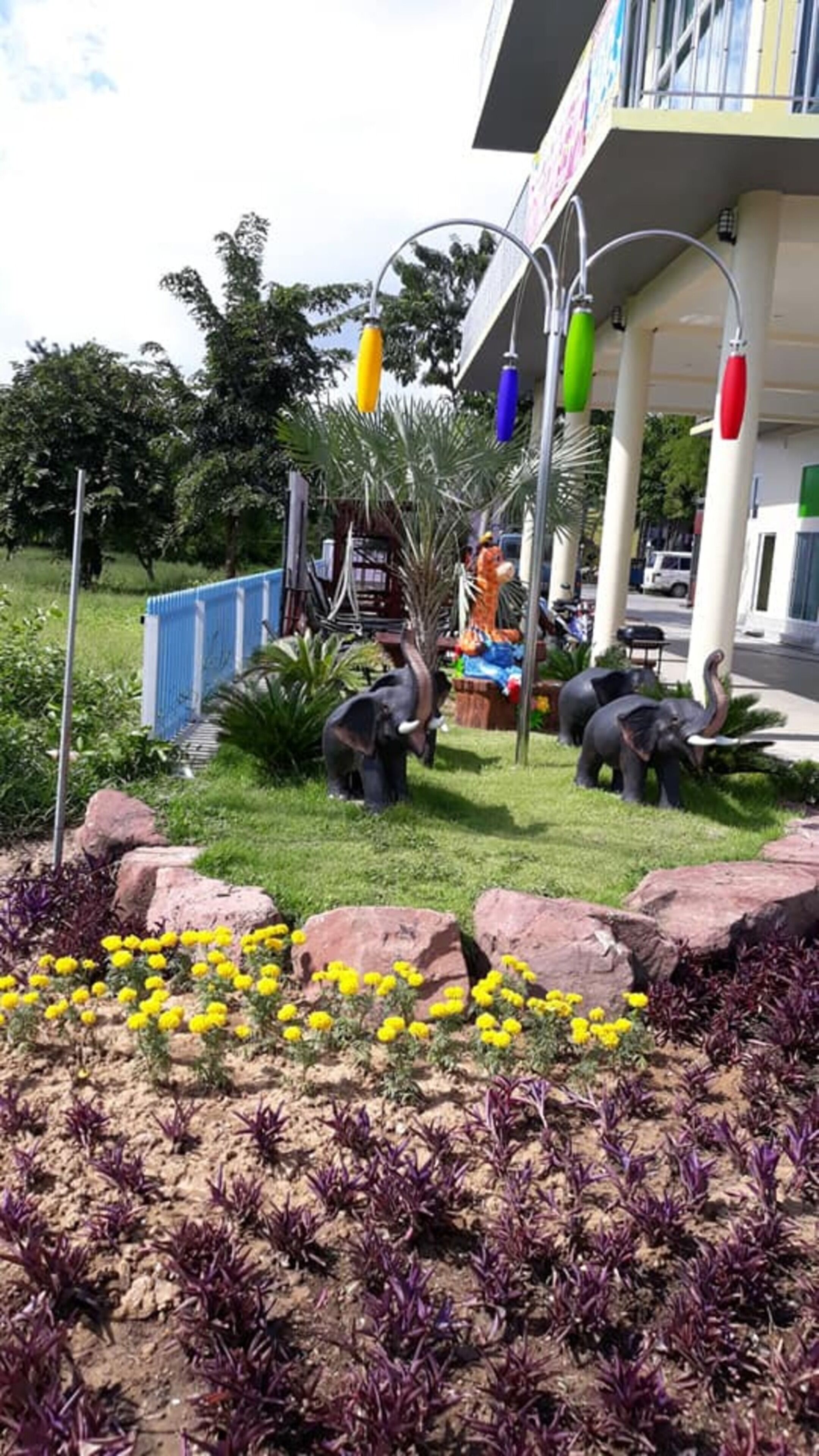 Un jardin aménagé avec des statues d’éléphants en plastique, une clôture bleue et des fleurs jaunes.