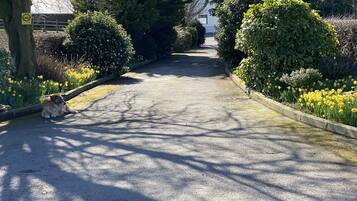 Cottage | Property grounds