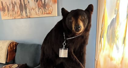 Come to Maine Find Your Freedom!