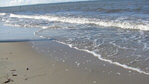 A beach with waves gently lapping onto the shore. - Ferienapartment-ruegen (Rügen)