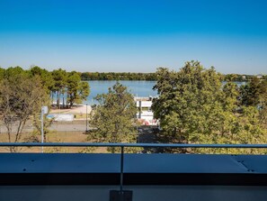 Habitación estándar, 1 cama matrimonial, vista al lago | Ropa de cama de alta calidad y minibar 