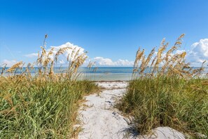 A sandy path leading to a beach with tall grass on either side. - Sea La Vie AM: Bay front, pool, hot tub, rooftop deck, and water sports gear! (Anna Maria)