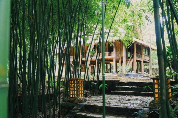 Enceinte de l’hébergement