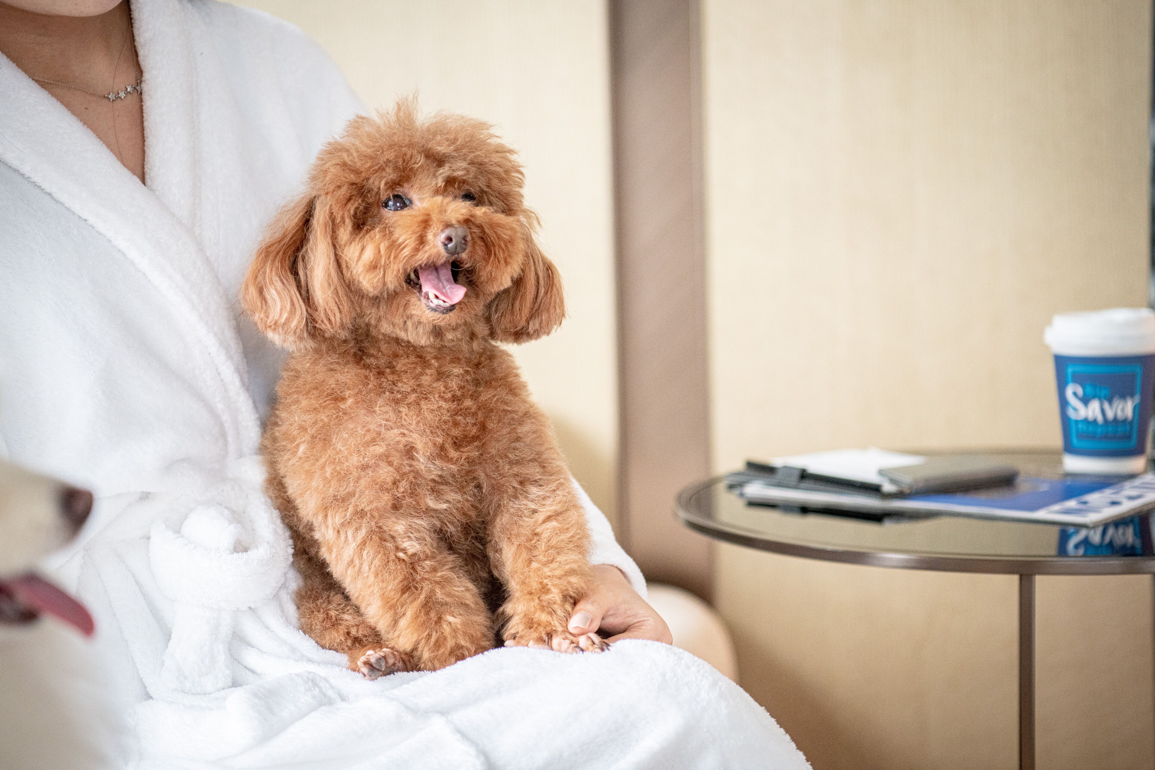 Pet-friendly