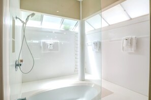 Suihku, ilmaiset hygieniatuotteet, hiustenkuivaaja, pyyhkeet