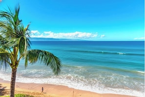A beach with clear blue water, a palm tree, and a person walking on the sand.