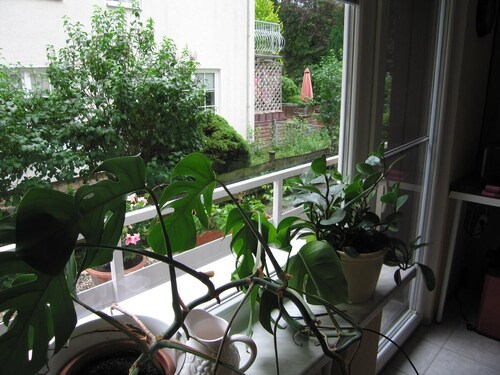 Ferienwohnung Haus Vogelsang