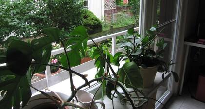 Ferienwohnung Haus Vogelsang