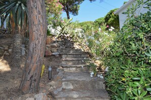 Terrain de l’hébergement 