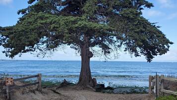 Ubicación a pie de playa y tumbonas